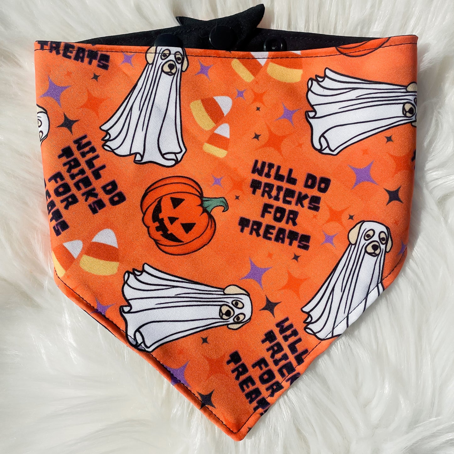 Will Do Tricks for Treats - Exclusive