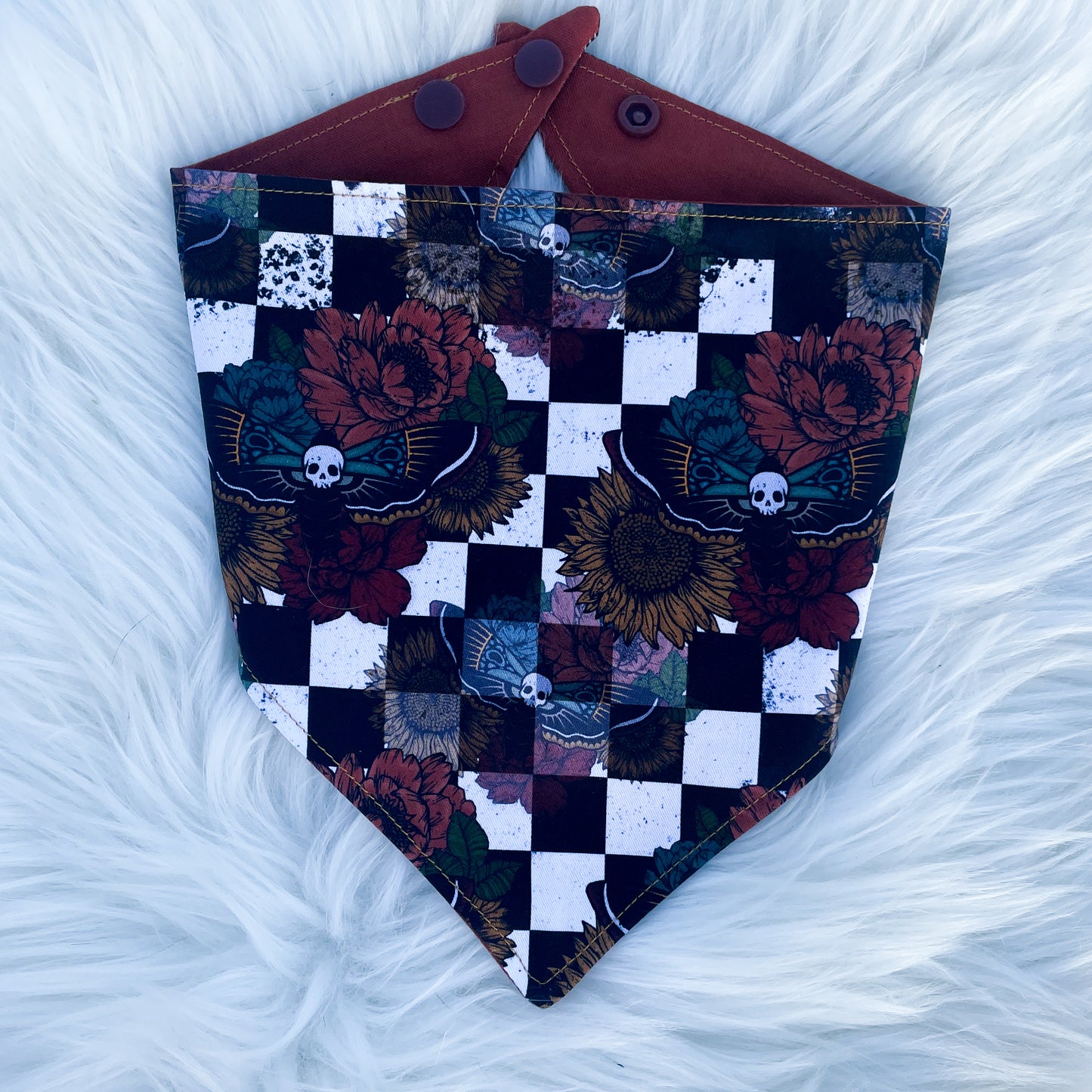 Checkered Moths