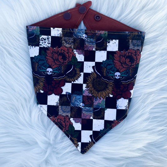 Checkered Moths