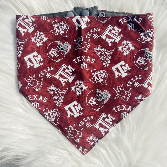 TX A&M