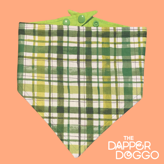 Emerald Plaid Pup