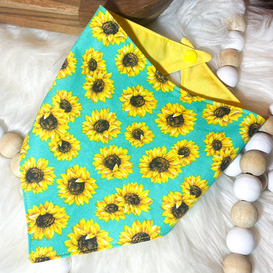 Teal Sunflowers