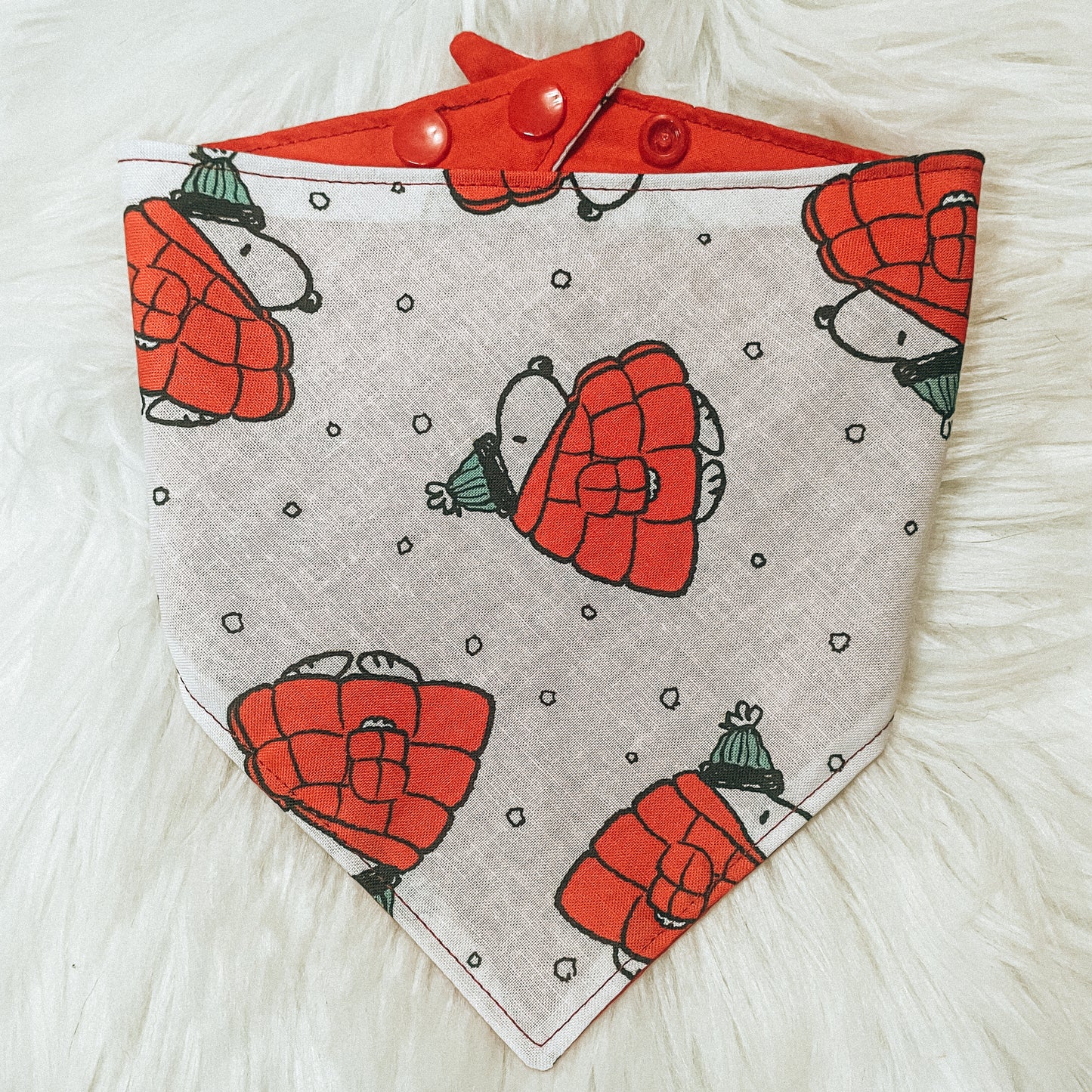 Winter Snoopy
